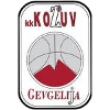 https://img.zenbysen.com/img/basketball/team/4b06fe02aaa7da5901e5698485059da0.png